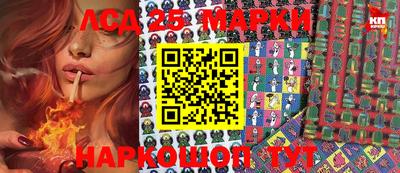 spice Гатчина