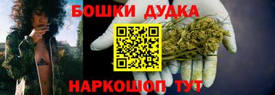 spice Гатчина