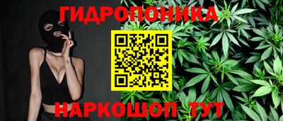 спиды Гагарин