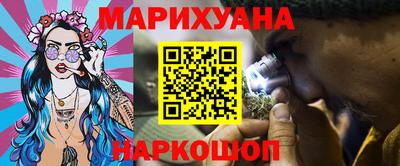 spice Гатчина