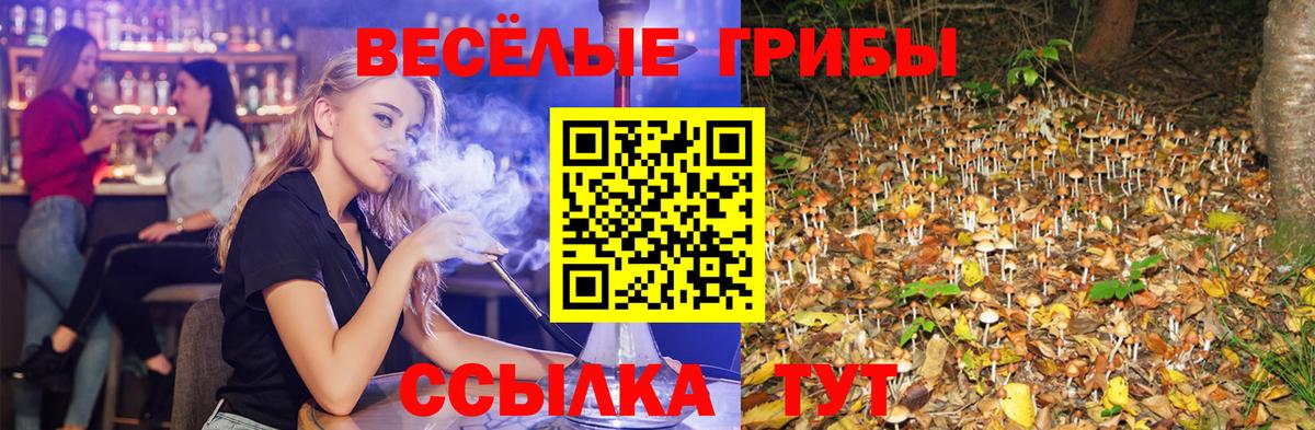 Псилоцибиновые грибы Cubensis Мелеуз